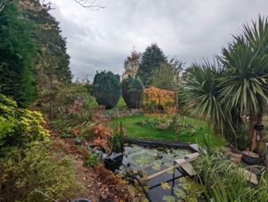 Photo 12- click for photo gallery